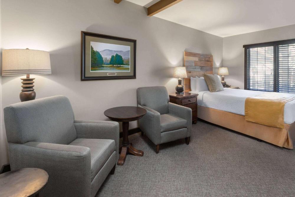Queen Inn Studio - Dog Friendly/Non-Smoking interior